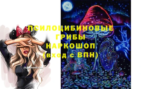 скорость Краснослободск