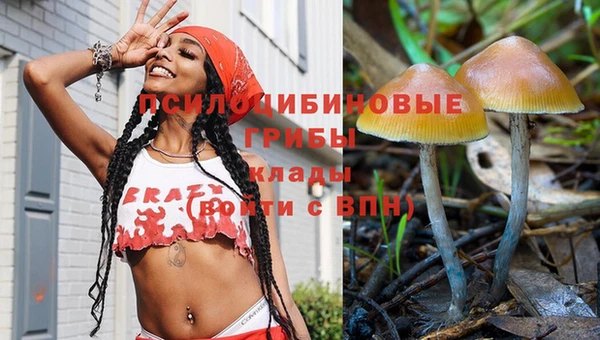 гидропоника Красноперекопск