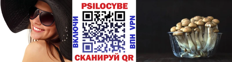 Галлюциногенные грибы Cubensis  Купить закладки  Богородск 