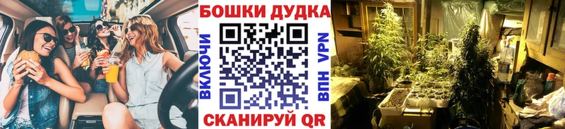 Шишки марихуана THC 21%  Купить закладки  Богородск 